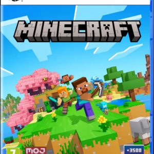 PS5 Minecraft (R2)